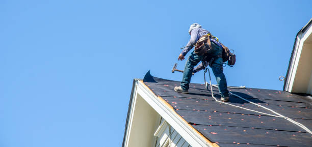 Best Roof Gutter Cleaning  in Franklin, TX